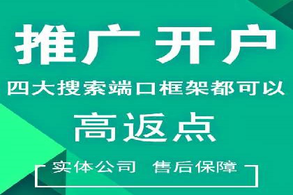 某某sem推广公司案例揭秘：如何精准定位目标用户群体